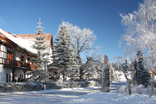 Waldhotel Kreuztanne (Sayda - Friedebach)